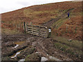 NT9513 : Salter's Road on north side of Shank Burn by Trevor Littlewood