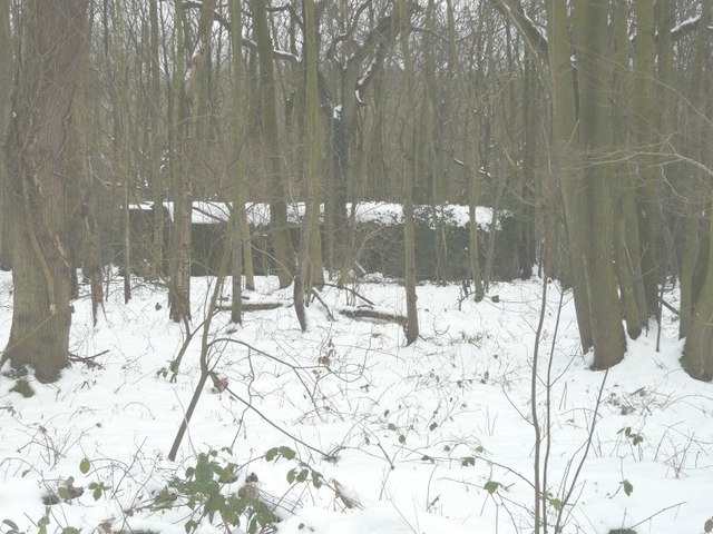 Surface air-raid shelter, Reinden Wood