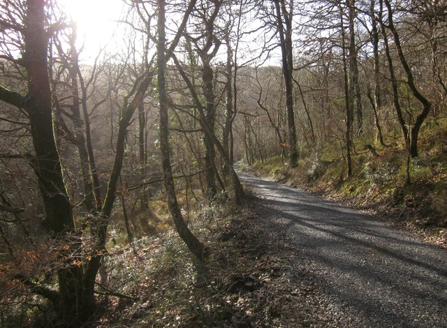 Path in Yarner Wood