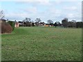 NZ1966 : Green space in Westerhope by Oliver Dixon