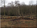 TL7706 : Cut logs on Lingwood Common by Roger Jones