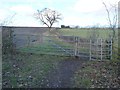 SE3104 : Public footpath and track to Dodworth by Christine Johnstone