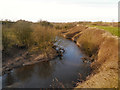 SJ5694 : Sankey Brook from Penkford Bridge by David Dixon