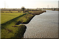 SK8171 : Trent floodbank by Richard Croft