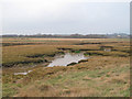 TL9714 : Abbot's Hall Saltings by Roger Jones