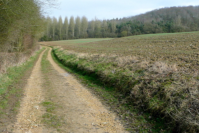 Towards Long Compton Woods