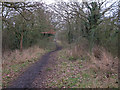 TL8405 : Maldon Wick Nature Reserve Path by Roger Jones