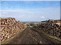 NS7382 : Log piles and forestry track, Carron Valley Forest by Alan O'Dowd