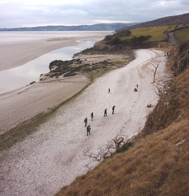 Busy on the beach