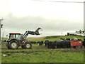 NX0746 : Feeding the cattle by Ann Cook