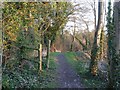 SP9312 : Grand Union Canal Walk approaches Marshcroft Lane by Rob Farrow