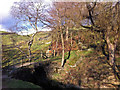 SD9931 : Lumb Hole, Crimsworth Dean by Phil Champion