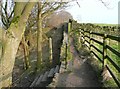 SE0921 : Footpath junction on the Calderdale Way by Humphrey Bolton