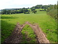 SO1022 : Tyre tracks in a field north of Aber village by Jaggery