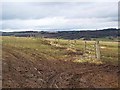 NZ1547 : Derelict fence off Newbiggin Lane by Oliver Dixon