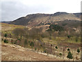 SE0103 : View towards Wimberry Stones by David Dixon