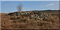 NS4781 : Stockie Muir Chambered Cairn by Lairich Rig