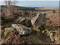 NS4781 : Stockie Muir Chambered Cairn: portal stones by Lairich Rig