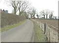 TR2043 : Newly planted hedge beside Reece Lane by John Baker