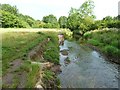 SD5722 : An eroded path beside the River Lostock by Ann Cook