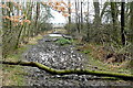 SP4614 : Bridleway on Bladon Heath by Graham Horn