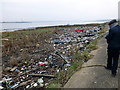 TQ5478 : Rubbish on banks of River Thames at Rainham Marshes by PAUL FARMER