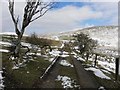 H5492 : Mountain track, Glenroan by Kenneth  Allen