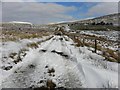 H5493 : Wintry at Glenroan by Kenneth  Allen