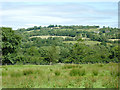 SN5854 : Rough pasture south of Llwyn-y-groes, Ceredigion by Roger  D Kidd