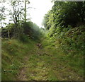 SO1020 : Bridle path to The Hill near Talybont Reservoir by Jaggery