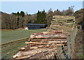 NT4129 : A log pile by the A708 by Walter Baxter