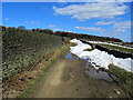 SE0138 : Walled Track leading from Hare Hill by Chris Heaton