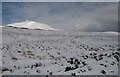 NO1905 : West Lomond from Bishop Hill path by Becky Williamson