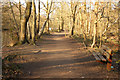 SK9468 : Hartsholme Country Park by Richard Croft