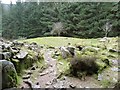 NS0325 : Iron Age fort, Glenashdale Wood by Rob Farrow