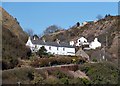 NT9561 : Houses at Burnmouth by Walter Baxter