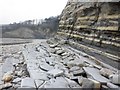  : Cliff rock strata, St Audries Bay by Roger Cornfoot