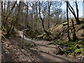 NS3883 : The Fairy Glen by Lairich Rig