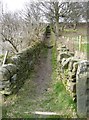 SE0621 : Elland Footpath 48, Greetland by Humphrey Bolton