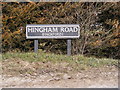 TG0402 : Hingham Road sign by Geographer