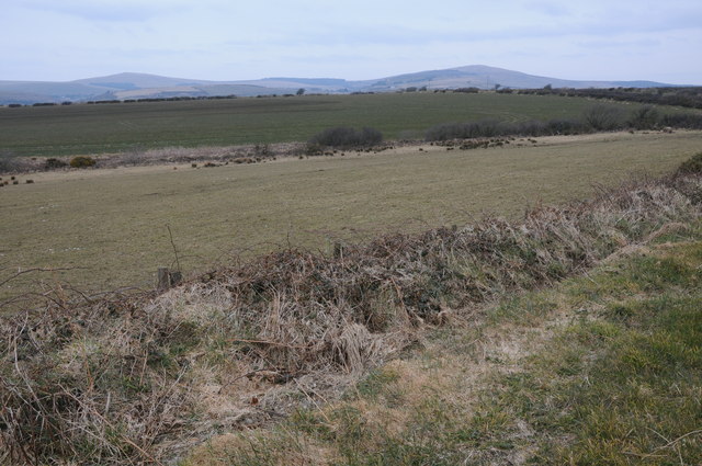 Upland grazing