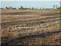 TF2814 : Site of an ancient settlement on Moulton West Fen by Richard Humphrey