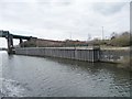 SJ7293 : Ladder up to the A57, below Irlam locks by Christine Johnstone