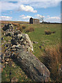 NY5808 : Ruined wall and barn above Birk Beck by Karl and Ali