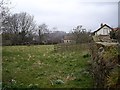 NZ1616 : A paddock with spring flowers by Stanley Howe