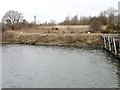 SJ5684 : Mooring bollards in the centre of a disused jetty by Christine Johnstone