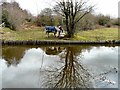 SJ9493 : Reflection in the Peak Forest Canal by Gerald England