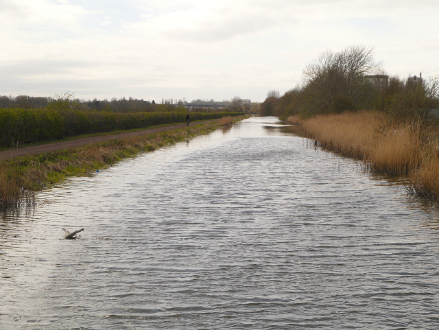 Sankey Canal, Looking Eastwards from Carter House Bridge