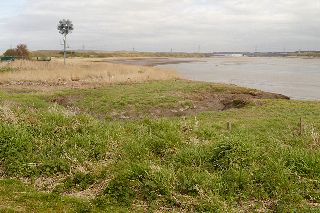 Salt Marsh at Widnes Waterfront