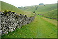 SK1960 : In Long Dale by Graham Horn